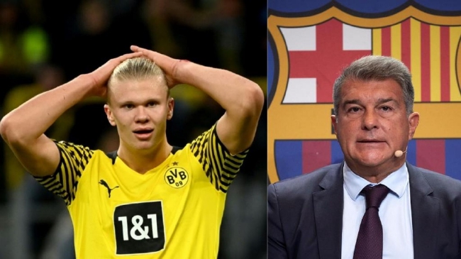 明年1月上线! 《数码宝贝物语》第二弹DLC预告片公布